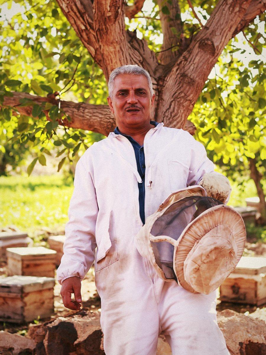د. أحمد عليشان